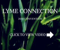 LYME CONNECTION.jpg